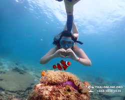 Underwater Odyssey snorkeling tour from Pattaya Thailand photo 8