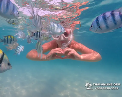 Underwater Odyssey snorkeling tour from Pattaya Thailand photo 6