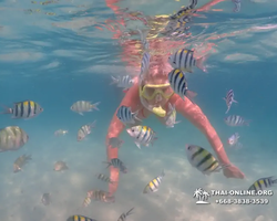 Pattaya snorkeling tour Underwater Odyssey in Thailand - photo 137