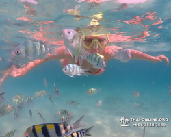 Underwater Odyssey snorkeling tour from Pattaya Thailand photo 47
