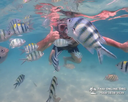 Underwater Odyssey snorkeling tour from Pattaya Thailand photo 43