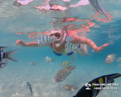Underwater Odyssey snorkeling tour from Pattaya Thailand photo 67