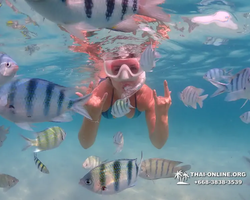 Pattaya snorkeling tour Underwater Odyssey in Thailand - photo 16
