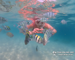 Underwater Odyssey snorkeling tour from Pattaya Thailand photo 85