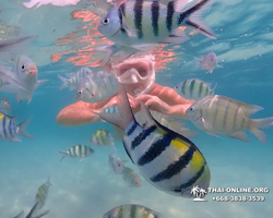 Underwater Odyssey snorkeling tour from Pattaya Thailand photo 36