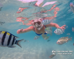 Underwater Odyssey snorkeling tour from Pattaya Thailand photo 62