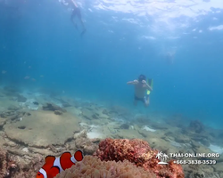 Underwater Odyssey snorkeling tour from Pattaya Thailand photo 70