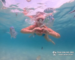 Pattaya snorkeling tour Underwater Odyssey in Thailand - photo 163