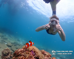Underwater Odyssey snorkeling tour from Pattaya Thailand photo 46
