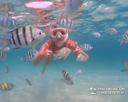 Underwater Odyssey snorkeling tour from Pattaya Thailand photo 57