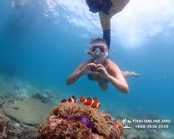Pattaya snorkeling tour Underwater Odyssey in Thailand - photo 22