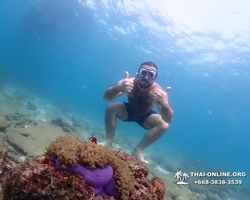 Underwater Odyssey snorkeling tour from Pattaya Thailand photo 65