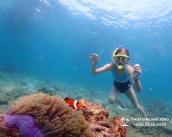 Underwater Odyssey snorkeling tour from Pattaya Thailand photo 45