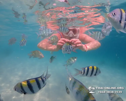 Underwater Odyssey snorkeling tour from Pattaya Thailand photo 64