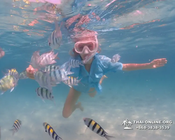 Underwater Odyssey snorkeling tour from Pattaya Thailand photo 95