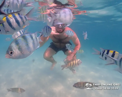 Pattaya snorkeling tour Underwater Odyssey in Thailand - photo 143