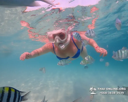 Pattaya snorkeling tour Underwater Odyssey in Thailand - photo 108