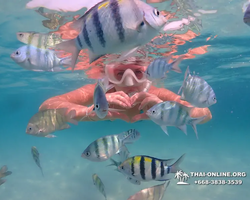 Underwater Odyssey snorkeling tour from Pattaya Thailand photo 7
