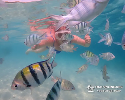 Underwater Odyssey snorkeling tour from Pattaya Thailand photo 91