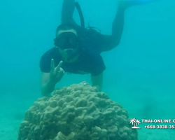 Princess Island of Samaesan Pattaya Thailand - picture 105
