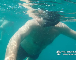 Princess Island of Samaesan Pattaya Thailand - picture 2