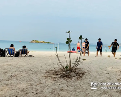 Princess Island of Samaesan Thailand Pattaya - tour photo 43