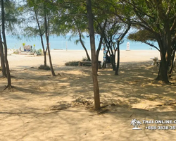 Princess Island of Samaesan Thailand Pattaya - tour photo 30