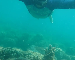 Princess Island of Samaesan Pattaya Thailand - picture 101