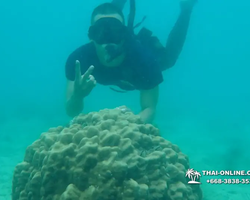 Princess Island of Samaesan Thailand Pattaya - tour photo 95