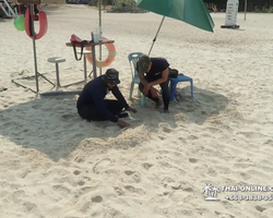 Princess Island of Samaesan Pattaya Thailand - picture 121
