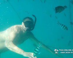 Princess Island of Samaesan Thailand Pattaya - tour photo 62