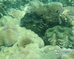 Princess Island of Samaesan Pattaya Thailand - picture 29