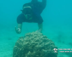 Princess Island of Samaesan Pattaya Thailand - picture 138