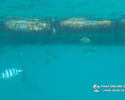 Princess Island of Samaesan Pattaya Thailand - picture 11