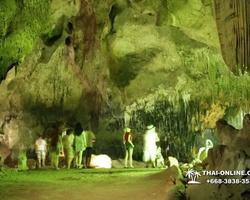 Land of Kings and Alpaca Park excursion Pattaya Thailand - photo 241