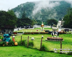 Land of Kings and Alpaca Park excursion Pattaya Thailand - photo 148