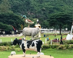 Land of Kings and Alpaca Park excursion Pattaya Thailand - photo 16
