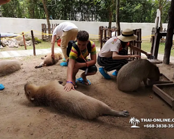 Land of Kings and Alpaca Park excursion Pattaya Thailand - photo 17