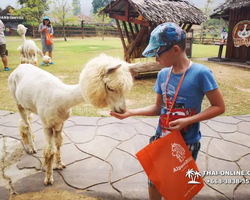 Land of Kings and Alpaca Park excursion Pattaya Thailand - photo 213