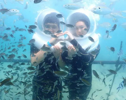 Sea hopping trip 3 Miracle Isles Pattaya excursion photo 235