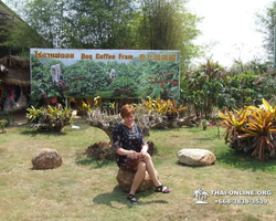 Wat Yan Temple Complex in Pattaya Thailand - trip photo 3