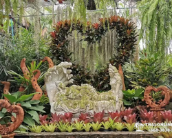 Nong Nooch Tropical Garden Pattaya Thailand guided tour picture 174