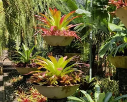 Nong Nooch Tropical Garden Pattaya Thailand guided tour picture 130