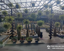 Nong Nooch Tropical Garden Pattaya Thailand guided tour picture 20
