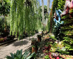 Nong Nooch Tropical Garden Pattaya Thailand guided tour picture 115