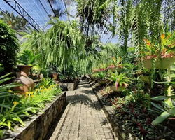 Nong Nooch Tropical Garden Pattaya Thailand guided tour picture 107