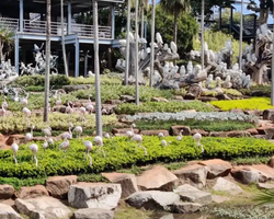 Nong Nooch Tropical Garden Pattaya Thailand guided tour picture 140