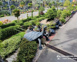 Nong Nooch Tropical Garden Pattaya Thailand guided tour picture 153