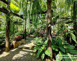 Nong Nooch Tropical Garden Pattaya Thailand guided tour picture 120