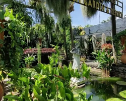 Nong Nooch Tropical Garden Pattaya Thailand guided tour picture 173